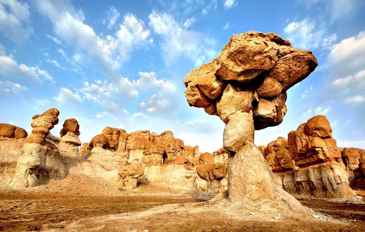  Discover Al Ahsa's beauty with Saudi Arabia Tours. Explore history and culture. 